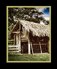 an new/old barn in Belize thumbnaio